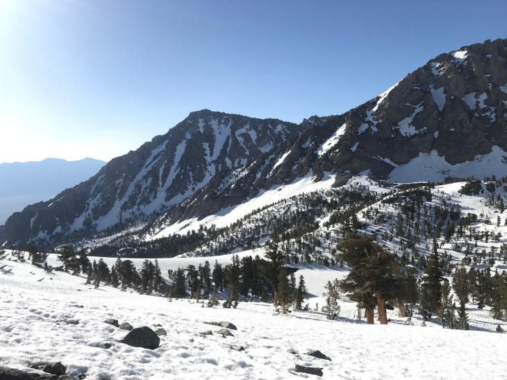 D68114A5-4C8E-43C9-AFA1-9AD832D7CF8C