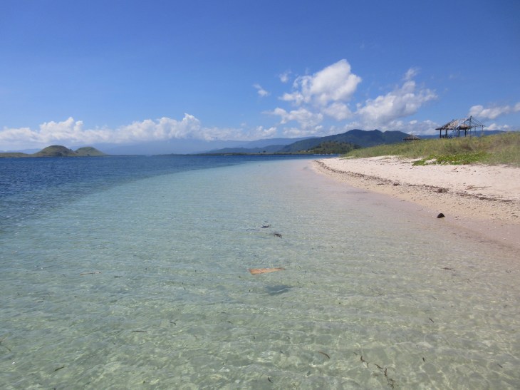 02113095-1AE6-44C3-8E09-7DFE8B3CDE09