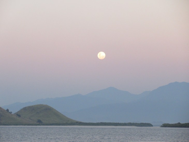 070937A7-D390-4C27-8FF2-FEC22896C5B0