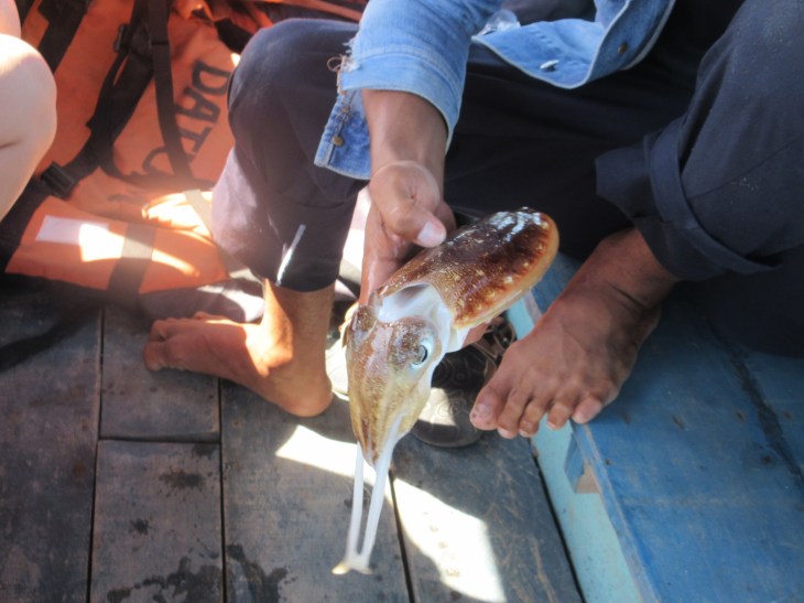 070F7590-0ECD-4E4F-B7B2-EEB2106B4E33