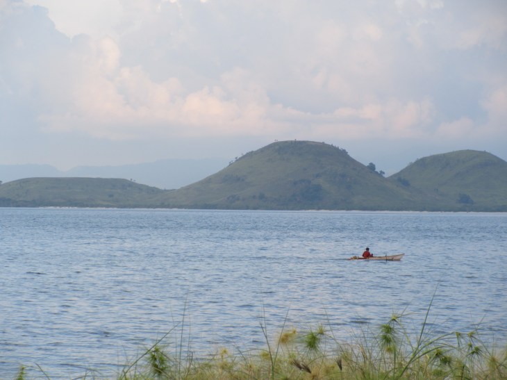 086D4074-8464-4FBB-99CF-658CC54B5433