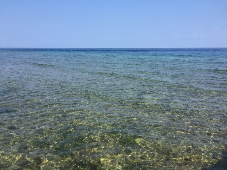 0D95C9BB-D329-456C-8E9B-5C8304FF0E21