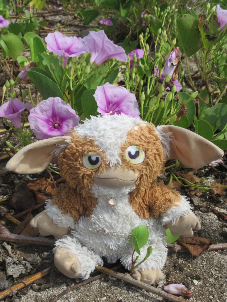 29AC47EA-1612-4546-A68F-3EEB59F22F0C