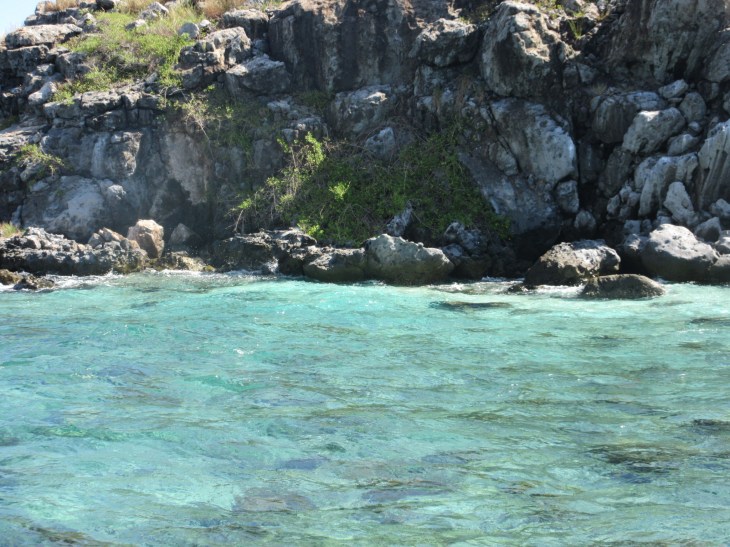 2FFF2A11-18B5-4A7A-903D-C692AB733B22