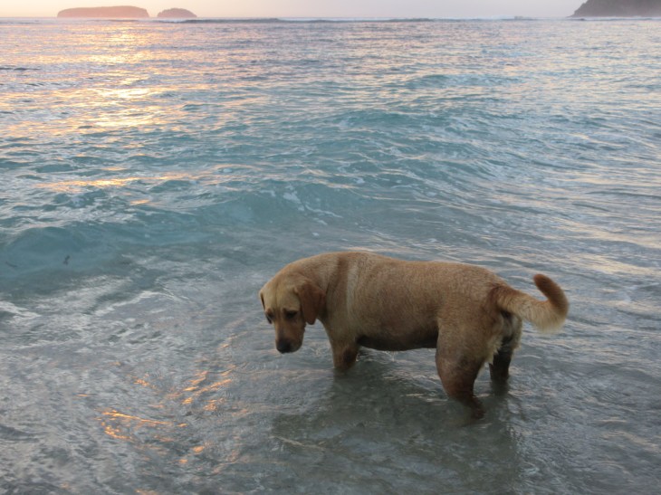 332C6F56-B2C5-4AA8-878A-F73331990872