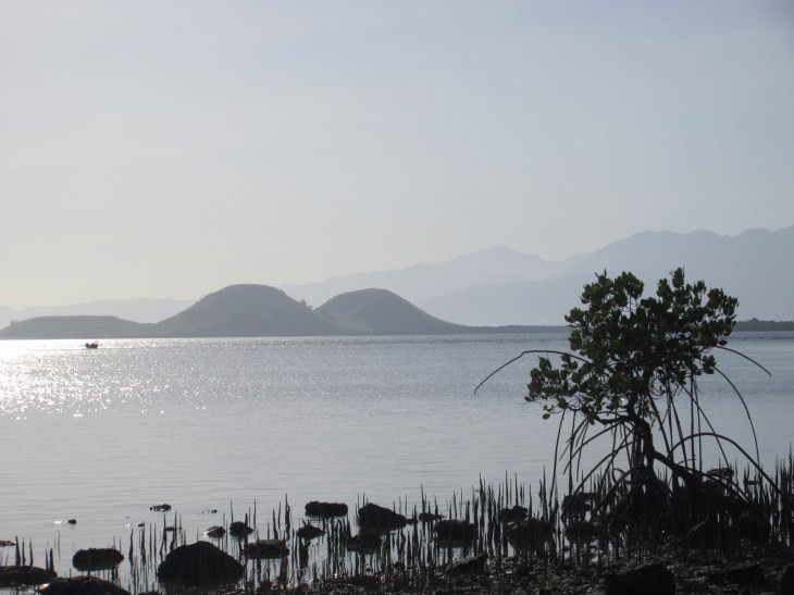 39275E24-7657-44B9-8118-5121FBFAEFA9