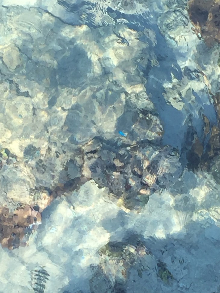 4AAE9E31-A6C8-4CB5-AD1B-7D36E7E2F8A5