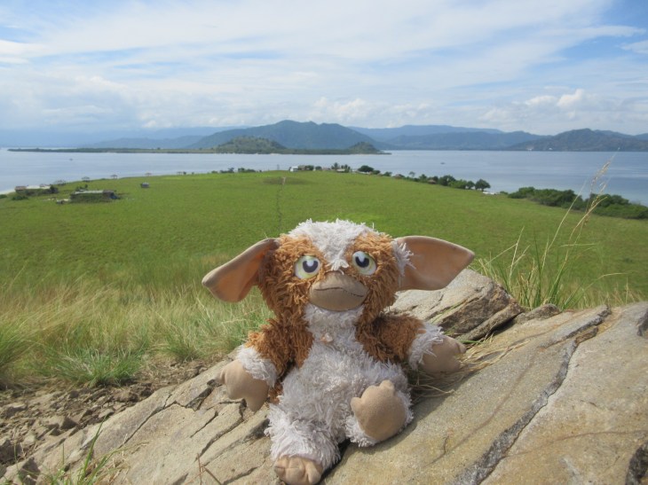 62581C38-0D8C-48C7-BC9F-81EC117FE979