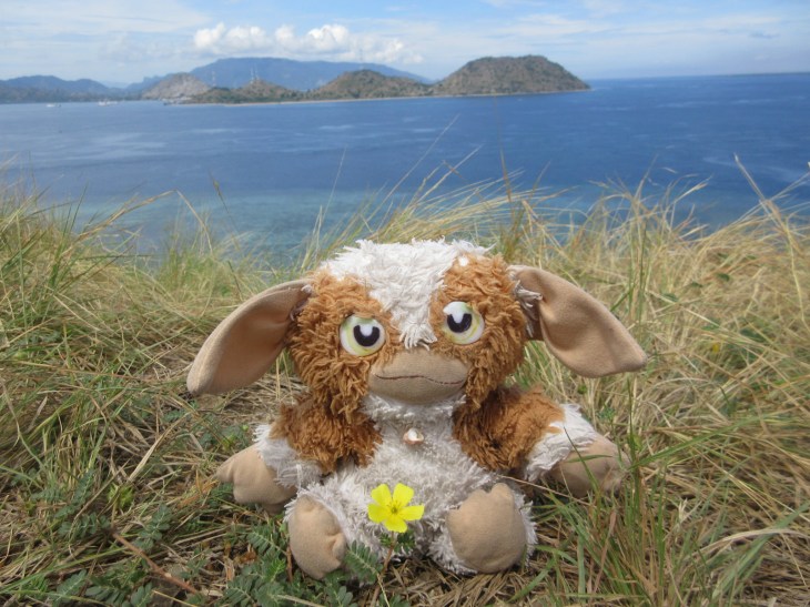 6316D1F6-FF9F-4592-A30A-D2B4C3B3358C