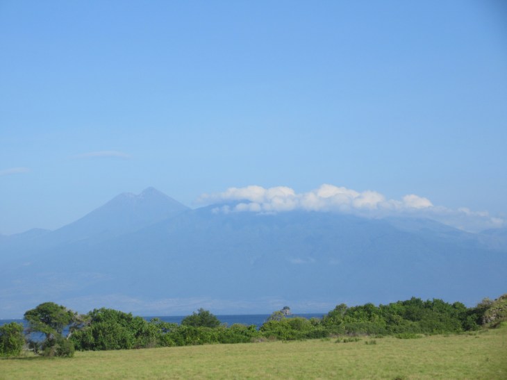 65837708-8783-4203-B5C8-E9391DCF292F