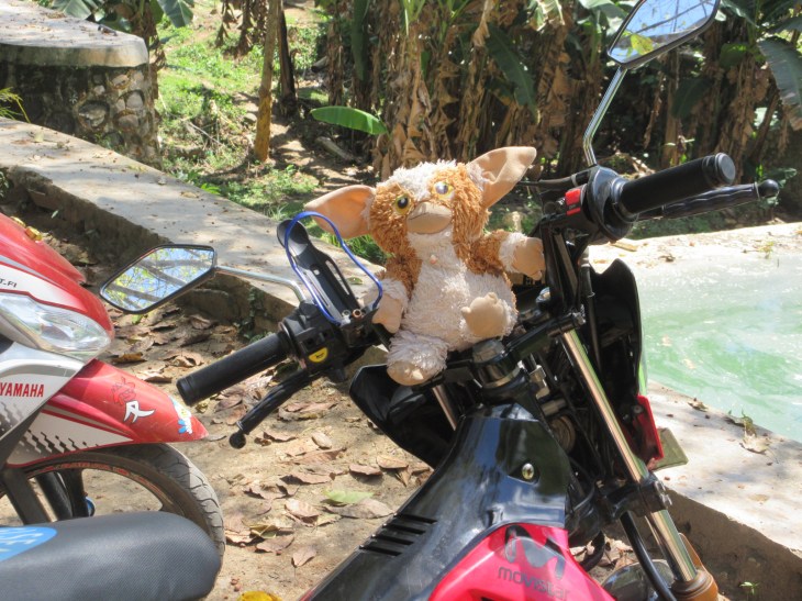 6BA78D11-A310-4DF3-BCA5-75A2BBD80DE2