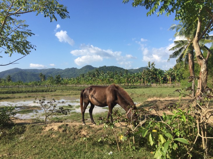 7141C785-B9E8-415E-9CD5-8E1B5FCCA97C