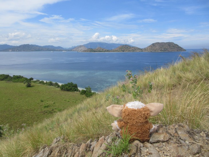 721FFF4E-4CBC-4A06-A16A-82B3331A415C