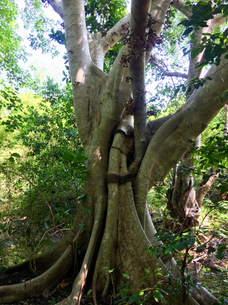 8FD49F46-E511-48FF-BF51-1218BFE2891A