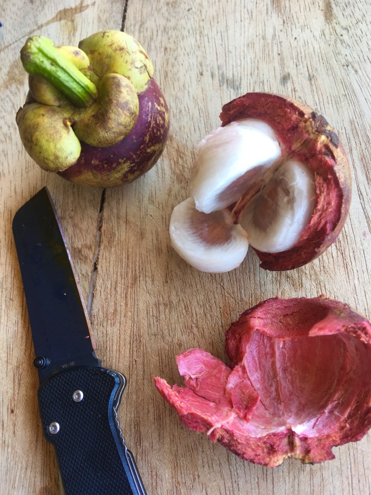 964381B8-F2F2-4E4E-A7C2-2EF2B4279B99