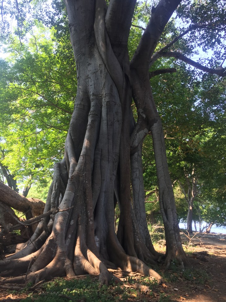 A4477362-7C63-4387-9D01-B8A91364FE0A