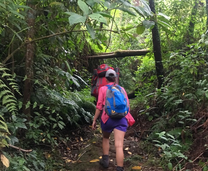 038D1B4F-F0C7-4C89-BA3C-1CFCE46444AB