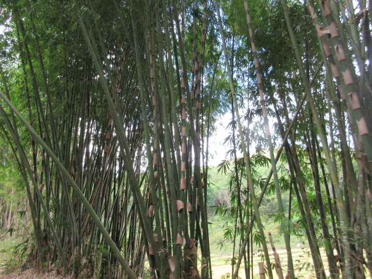 04D8EEBC-F724-4A72-B958-B6F37D9D0E58