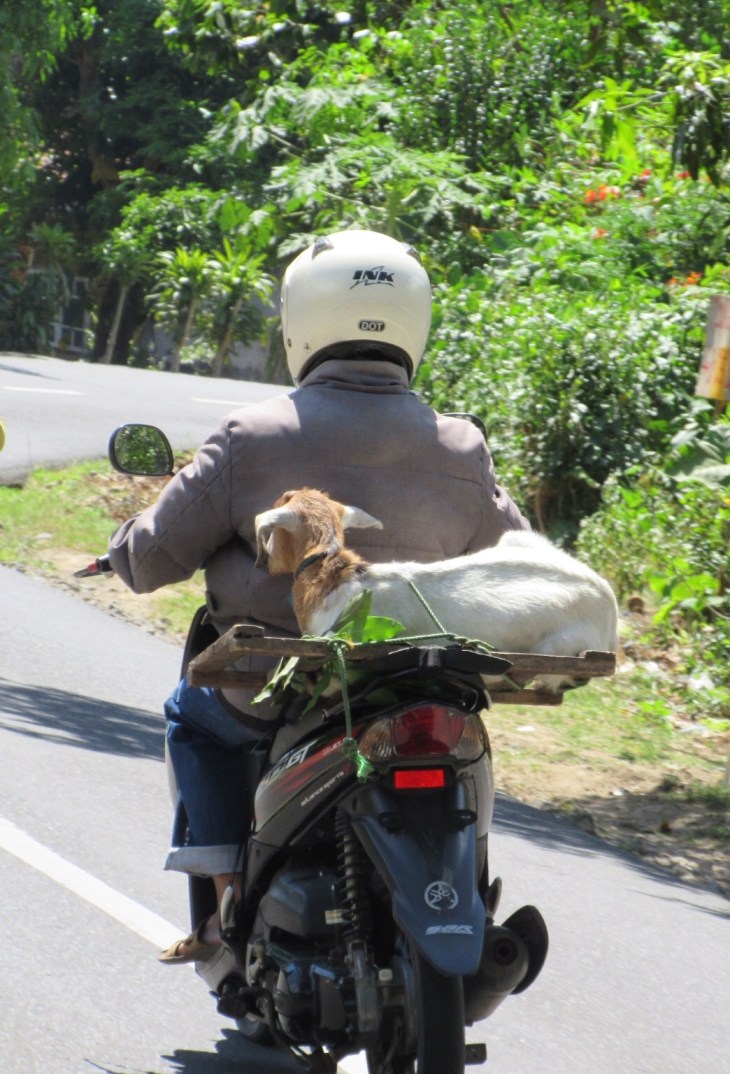 08C4ACDA-3CAF-4154-A085-2305F253CB04