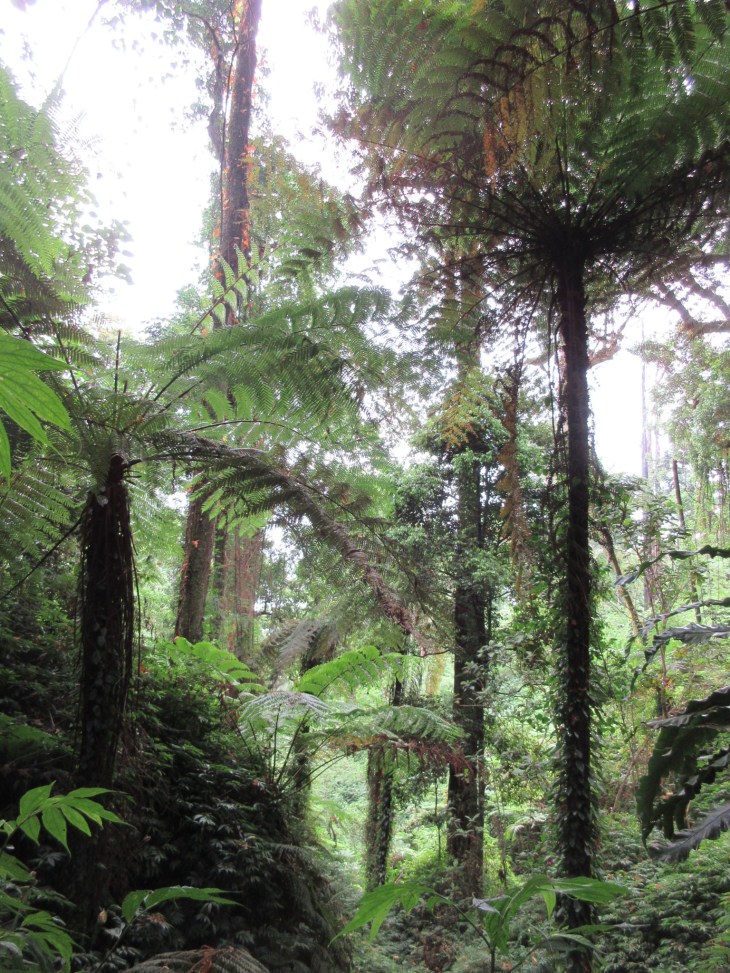 13B80977-F992-48BF-8D4F-A73EEA6BC609