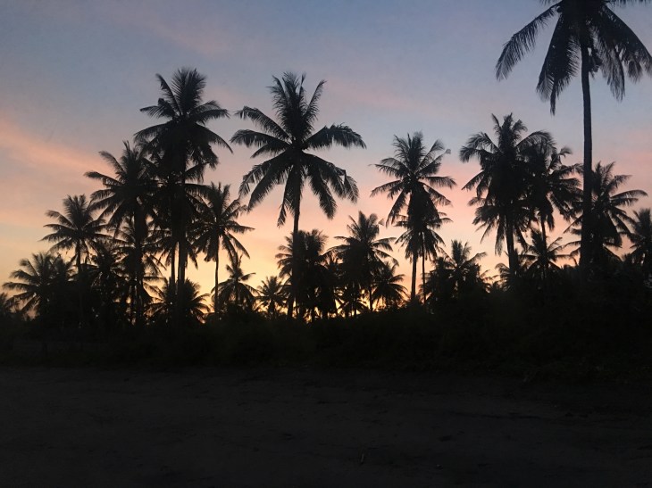 16B78A1D-B74E-426A-A71B-04BA487ABAAE