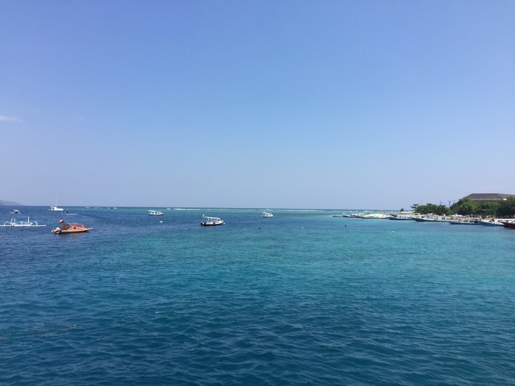 17C2939D-E33D-44FE-B58B-3828C449D7A8