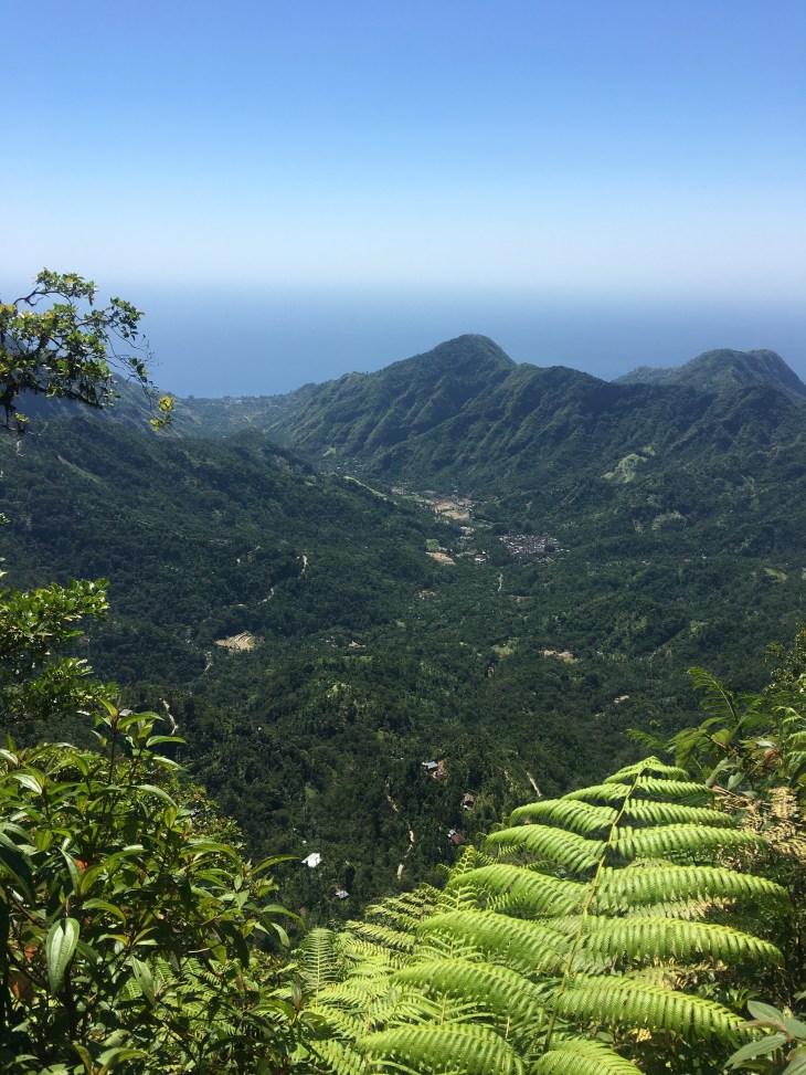 1C38AD90-8FEF-4F56-A2CC-8AFFCF77987B