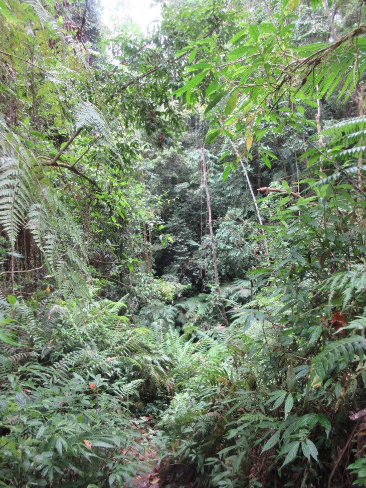 1DD09BDC-3313-4A1B-A16B-AD32DE699DF0