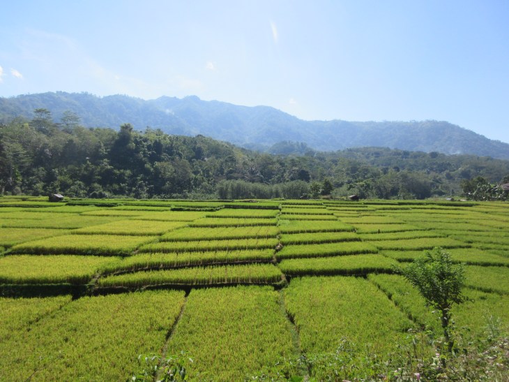 202179C8-D5E9-48D4-A281-0941785279CB