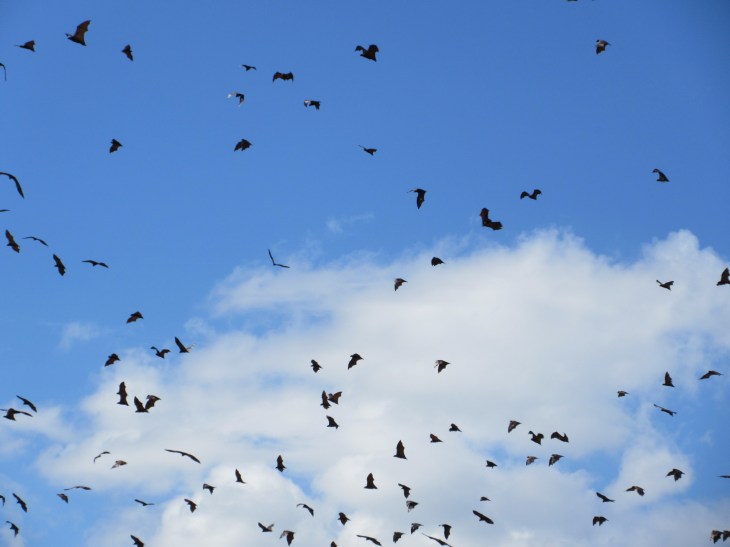 21D3396C-1A6E-4761-BB00-56BE2CCD4FC5