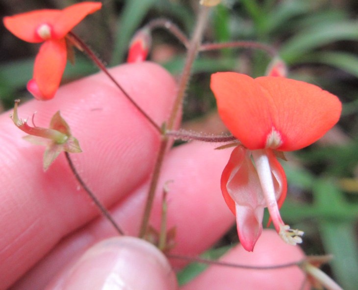 22F6450E-74CD-44FD-AF59-7F297F0F0F2E