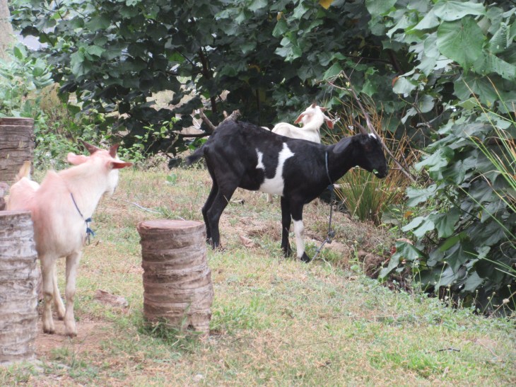 2C3D6A16-F187-4841-B875-5C22B8FA3463