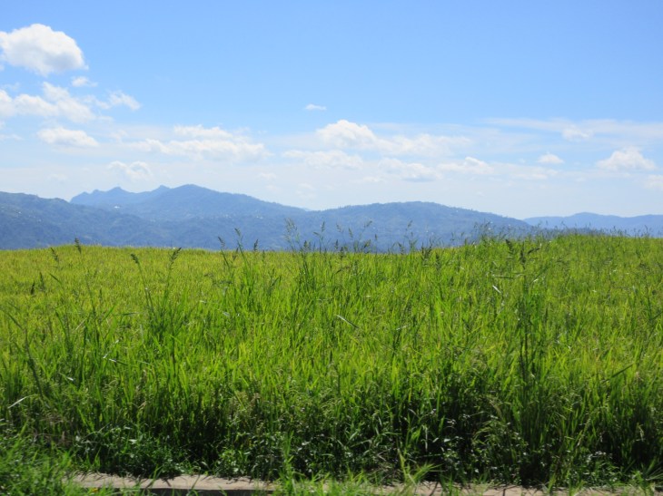 2E2C452A-1636-4484-AFC1-2235430C1C24