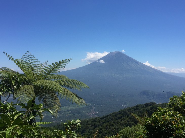 32258124-CBF3-4DA5-A0E6-EE32A86D11DA