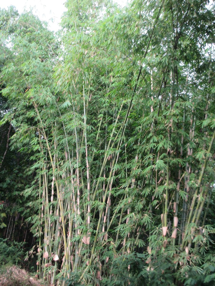 3CA9F810-75DC-41EA-9F5E-C7CF209DDA9A