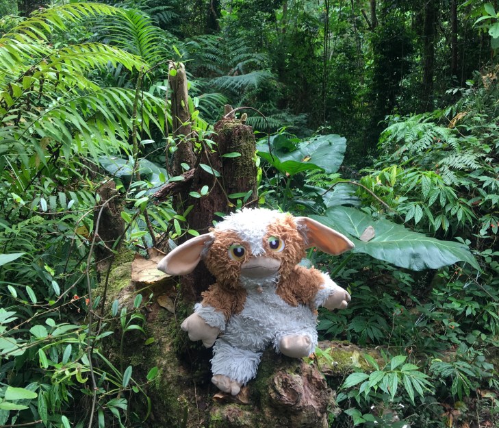 45B0054B-5154-4665-81F8-9BAF39E0FE10