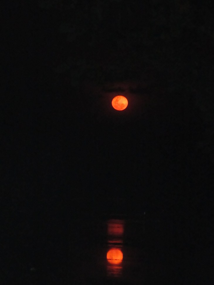 462E3686-B28E-4490-988D-EE141F397911