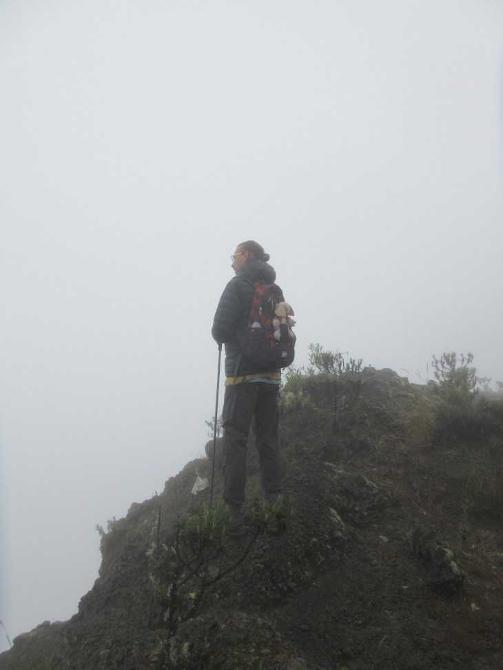 4F2EA1CC-AA00-4E86-8245-C851164E7290