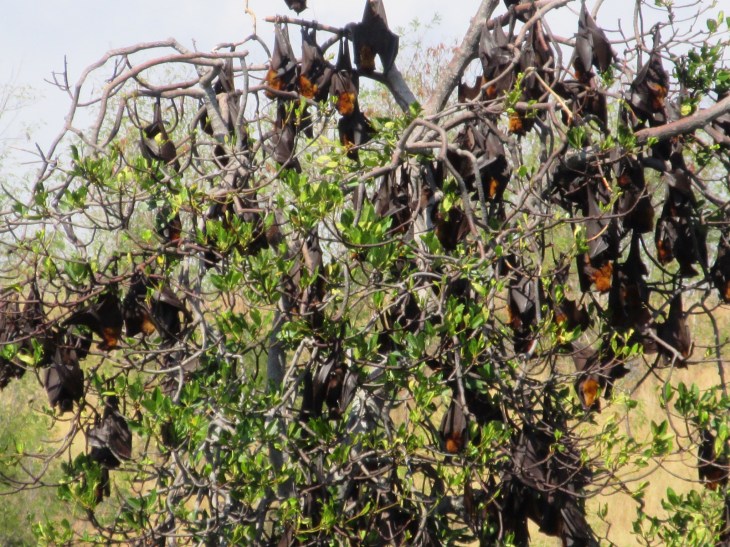 51B629DB-741B-4674-BE05-DF7A361D53B5