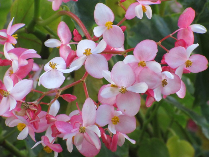 52B915AE-B7AB-4602-8E04-AF1A64347D79