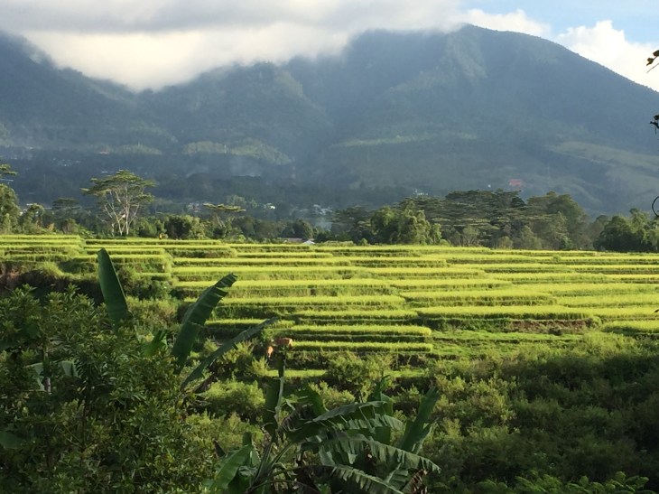 5C8F8FC8-1F08-4644-9799-ED75F679DC28