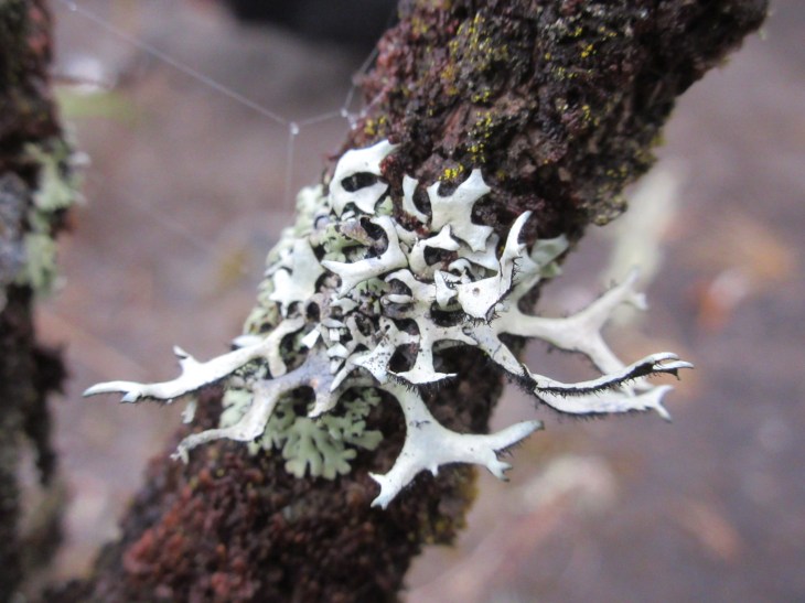 5DBCB4E1-533F-4E10-B7C9-ADA262763BF3