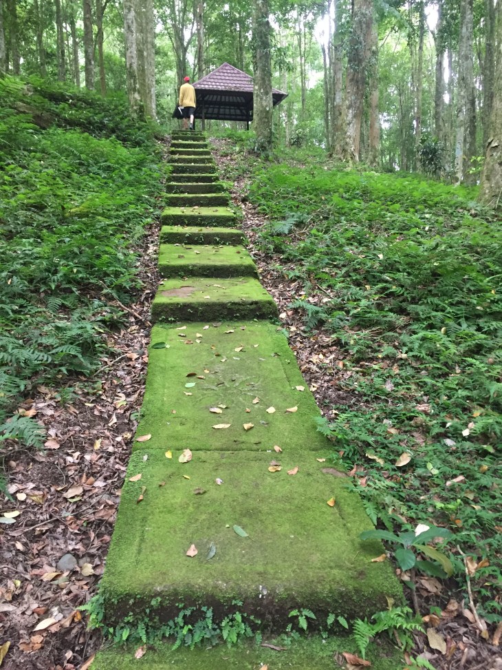 6263D8A6-B728-405C-BD62-1621CC6D1A57