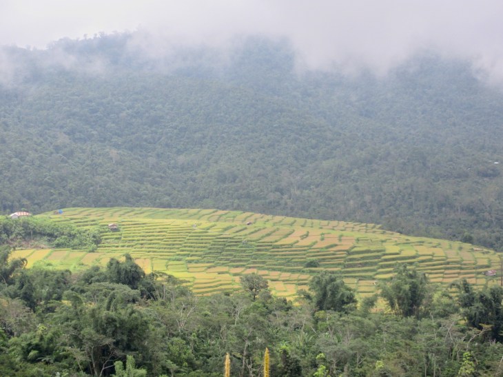 6BBC30B8-C7D5-4092-8CFC-5704FE9275AD