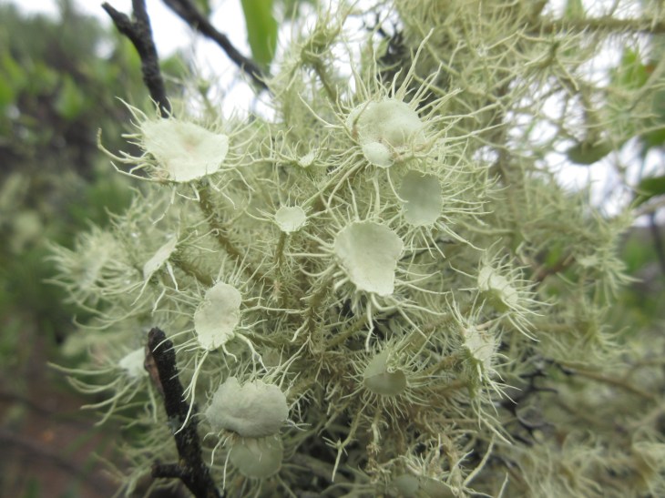 6F46BFA6-0074-44EE-8D7D-83B7A231D9F6