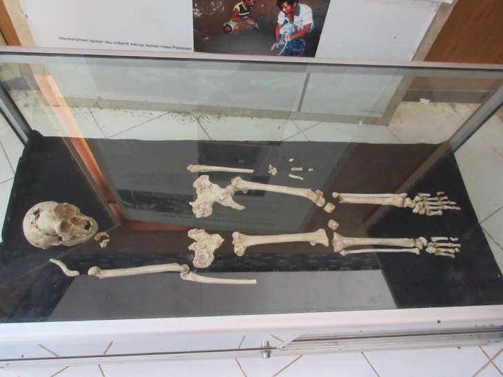 72755BF5-91DC-494F-BB5F-434CC4D92E38