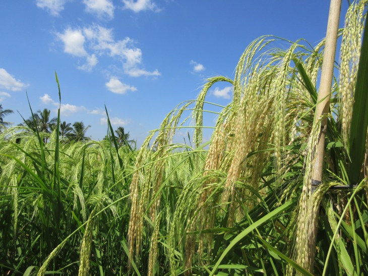 76642820-F0CB-47A6-8B0D-35CEC19A3E0B