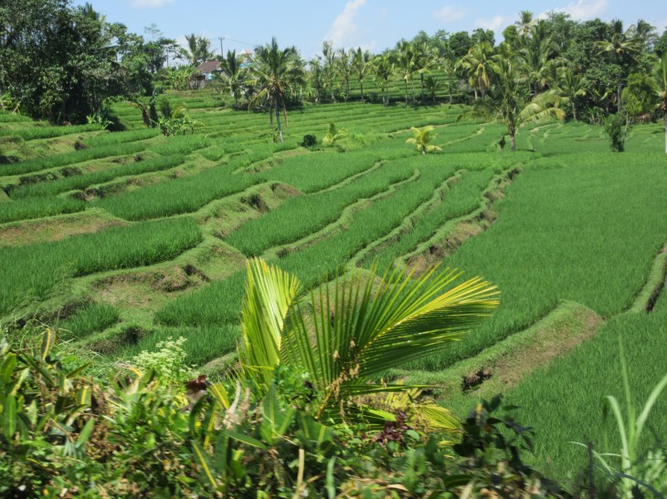 77026AAB-0F96-4998-9EA8-06C04B248F34