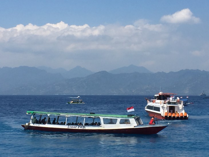 79F013E8-5A4E-4E6E-82CC-9BCD4DF0373E