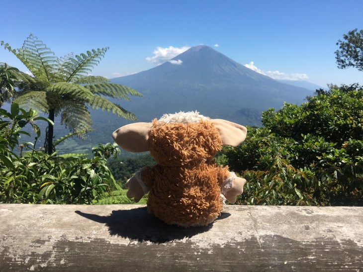 7CB00EFD-8139-41F2-A50C-1AF535FE0EA3